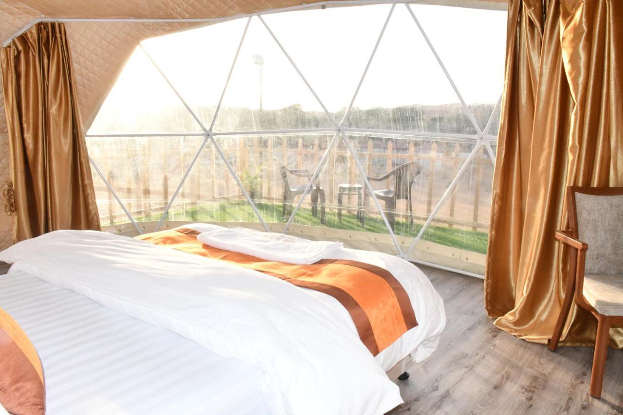 The Dunes Camping & Safari Rak Ras al-Khaimah Exterior foto