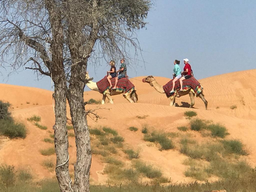 The Dunes Camping & Safari Rak Ras al-Khaimah Exterior foto